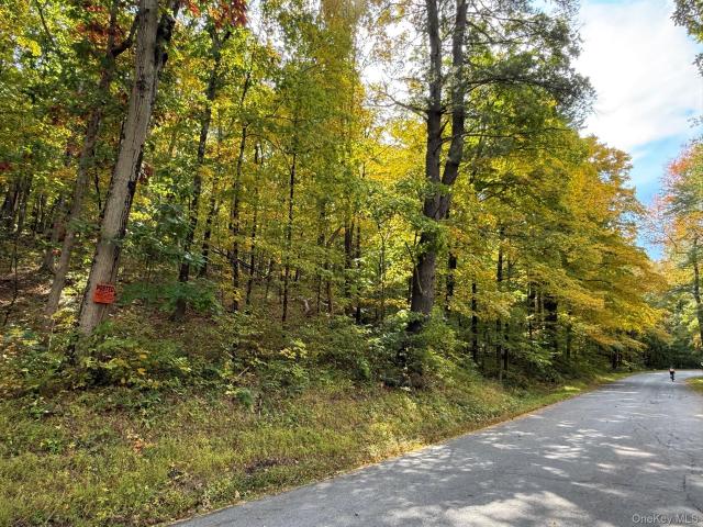 Land for sale in Staatsburg, Town of Hyde Park