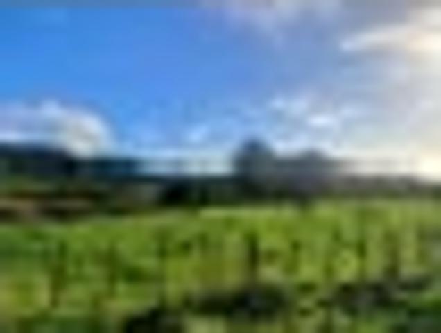 Land for sale in Horowhenua District
