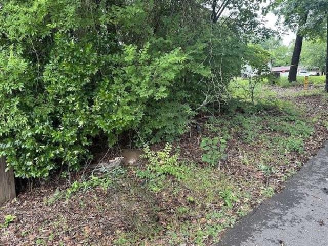 Land for sale in Harrison, Texas
