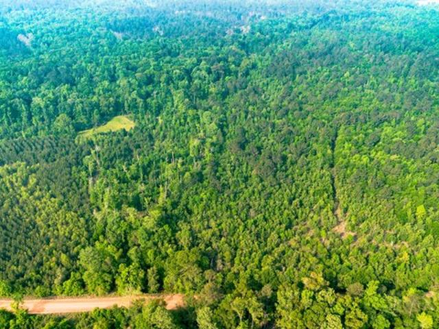 Land for sale in Millen, Georgia