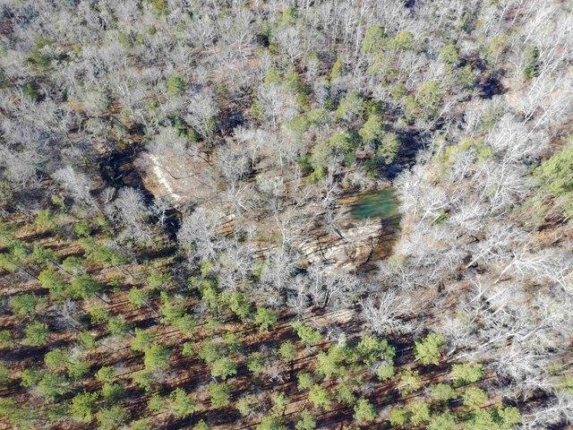 Land for sale in Pauline, South Carolina
