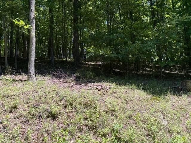 Land for sale in Buckhannon, West Virginia