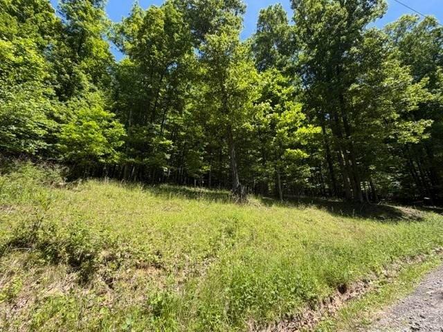Land for sale in Buckhannon, West Virginia