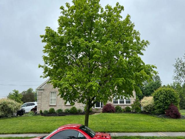 House for sale in Michigan