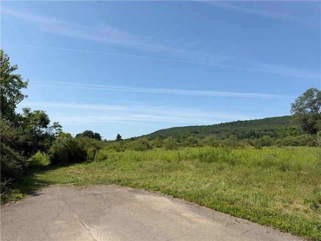 Land for sale in Erwin, New York