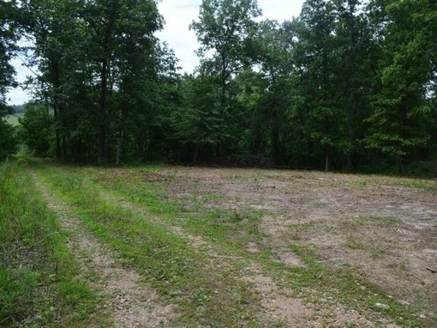 Land for sale in Fifty-Six, Stone County