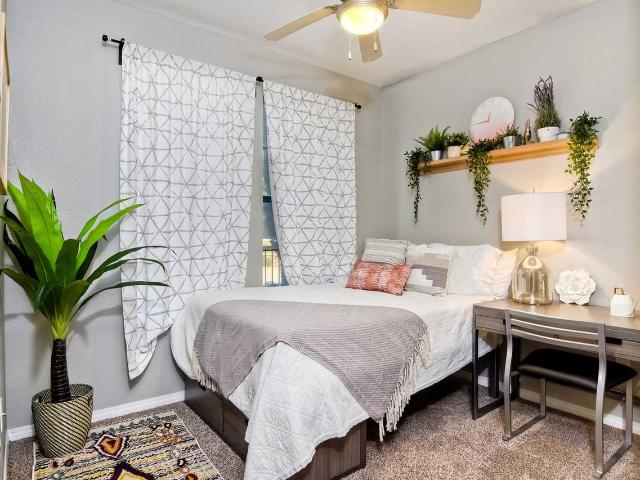 Apartment for rent in Jacumba, California