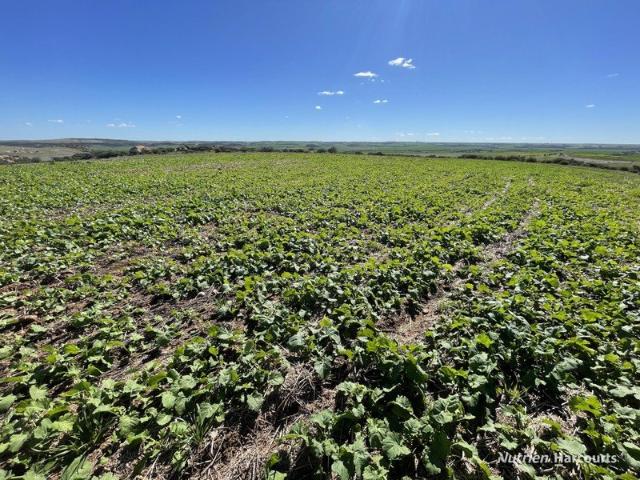 Cottage for sale in Mount Erin, Western Australia