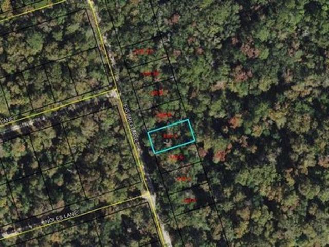 Land for sale in Crawfordville, Florida
