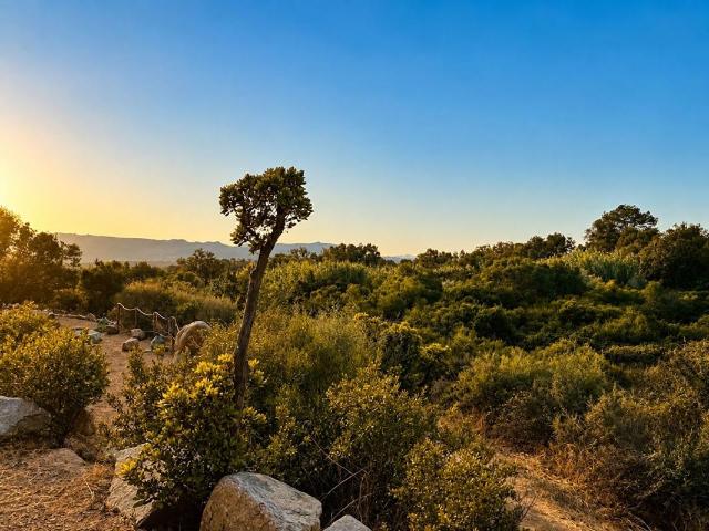 Villa vente à Sartène, Figari