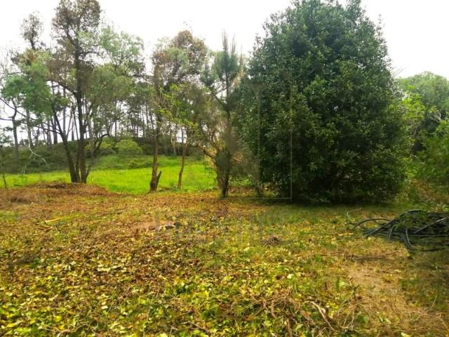 Terreno venda em Figueira Da Foz, Coimbra