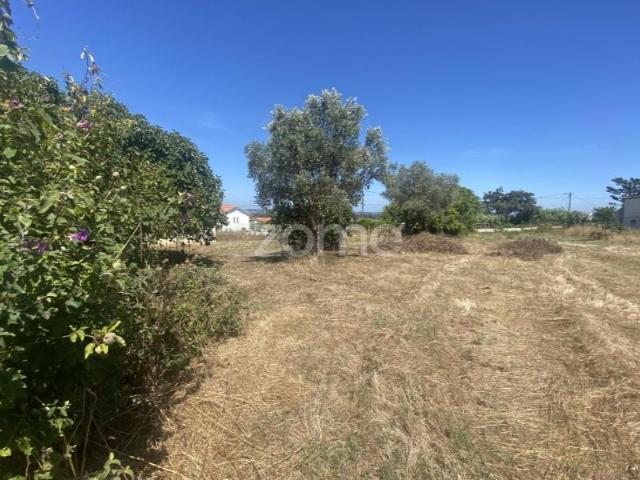 Terreno venda em Figueira Da Foz, Coimbra