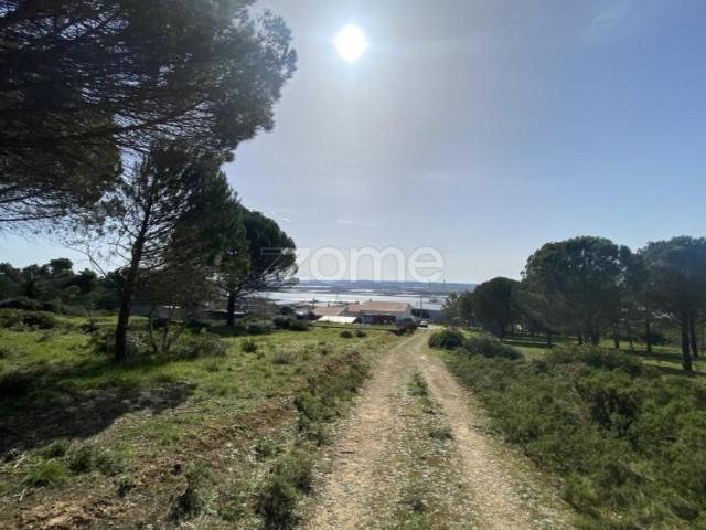Terreno venda em Figueira Da Foz, Coimbra
