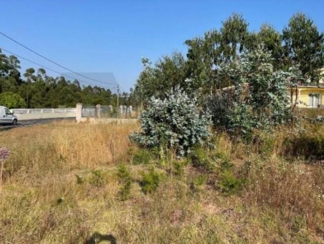 Terreno venda em Pincho, Figueira Da Foz