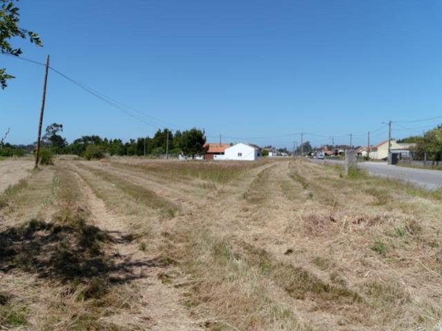 Terreno venda em Figueira Da Foz, Coimbra