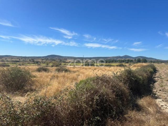 Terreno venda em Guarda, Figueira De Castelo Rodrigo