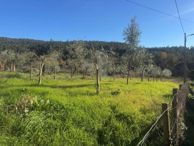 Terreno venda em Figueiró Dos Vinhos, Leiria