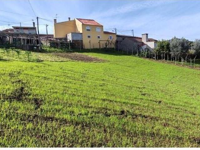 Terreno venda em Chimpeles, Figueiró Dos Vinhos