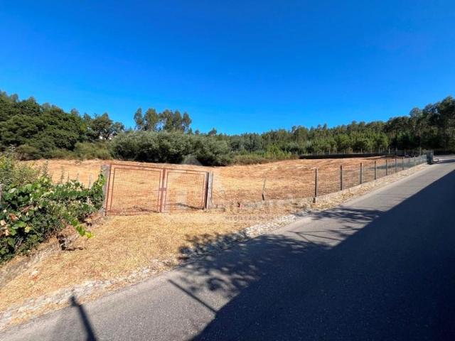 Terreno venda em Figueiró Dos Vinhos, Leiria