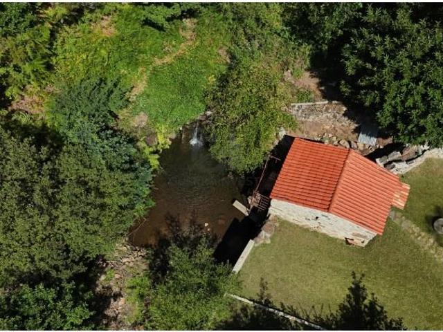 Terreno venda em Figueiró Dos Vinhos, Leiria