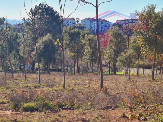 Terreno venda em Figueiró Dos Vinhos, Leiria
