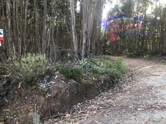 Terreno venda em Figueiró Dos Vinhos, Leiria