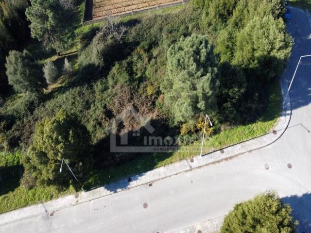 Terreno venda em Figueiró Dos Vinhos, Leiria