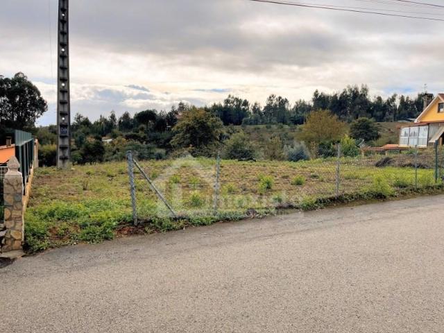 Terreno venda em Figueiró Dos Vinhos, Leiria