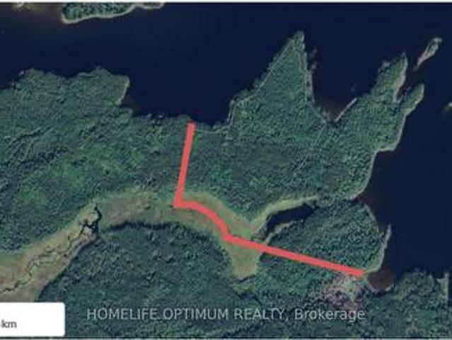 Land for sale in Mcintosh, Ontario