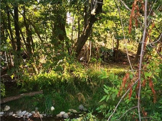 Casă vânzări în Romani, Brașov