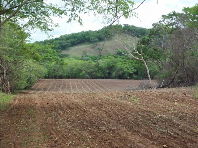 Finca en venta en Carmen De Cura, Aragua