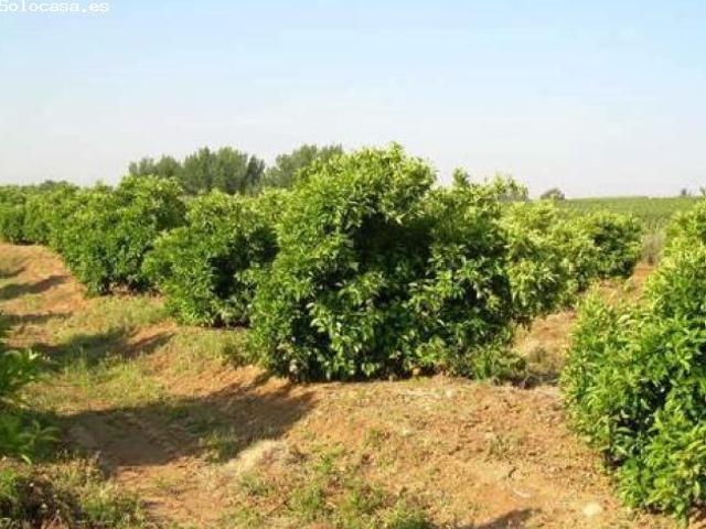 Local Comercial en venta en Lora Del Río, Andalucía