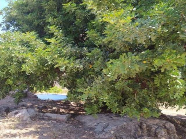 Finca en venta en Guadalteba, Andalucía