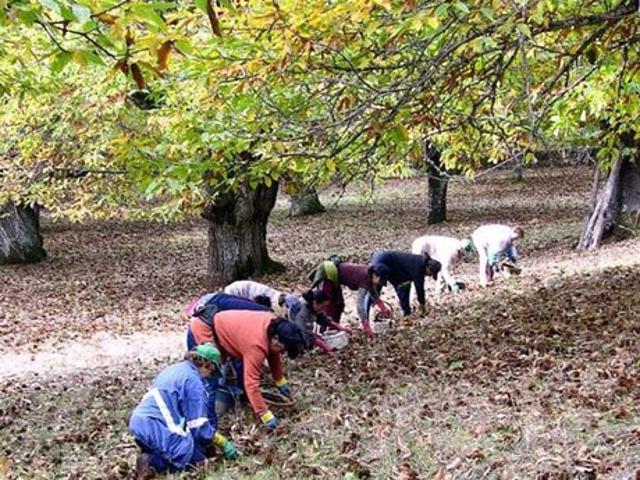Chalet en venta en Sierra de Huelva, Andalucía