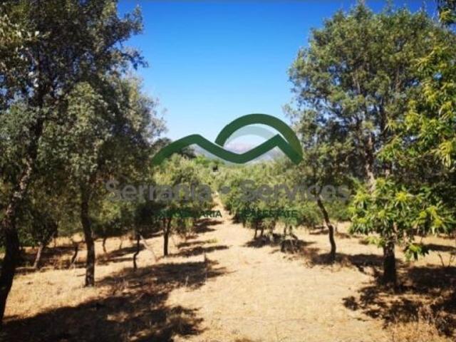 Casa en venta en Serranía de Ronda, Andalucía
