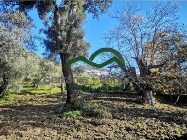 Casa en venta en Serranía de Ronda, Andalucía