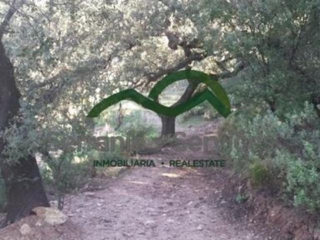 Casa en venta en Serranía de Ronda, Andalucía