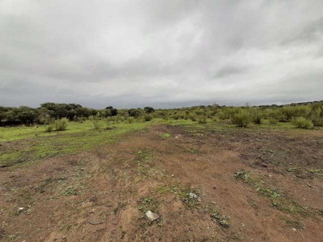 Terreno en venta en Botija, Extremadura