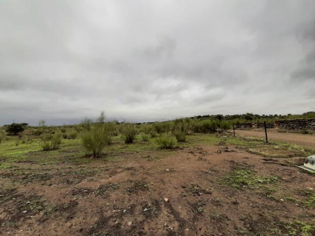 Terreno en venta en Botija, Extremadura