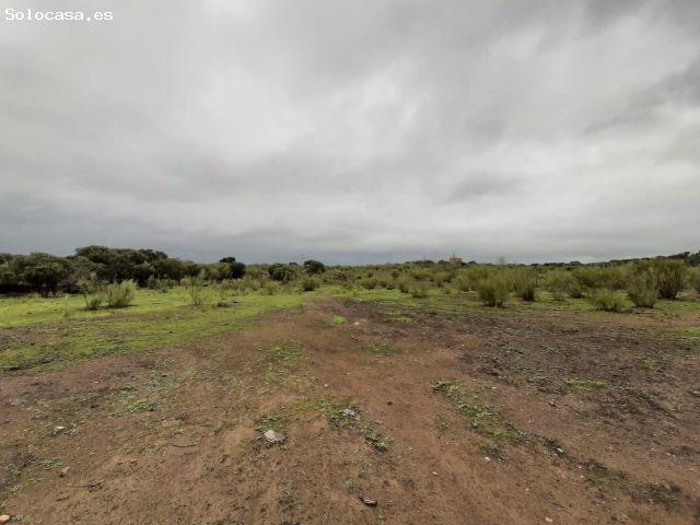 Local Comercial en venta en Plasenzuela, Extremadura