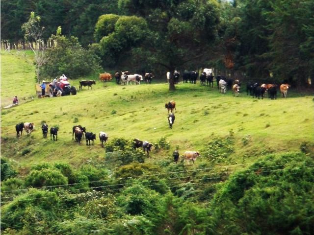 Finca en venta en Boconó, Trujillo