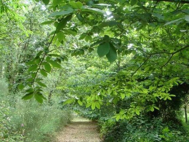 Casa en alquiler en Terra da Celanova, Galicia