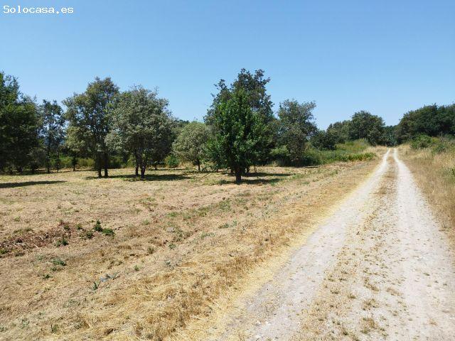 Local Comercial en venta en Terra da Celanova, Galicia