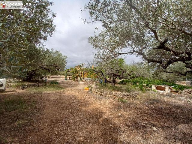 Local Comercial en venta en Baix Ebre, Catalunya