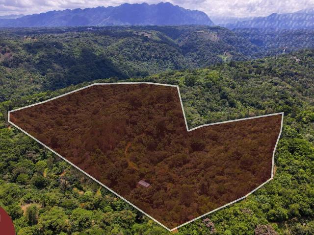 Rancho en venta en Teocelo, Veracruz
