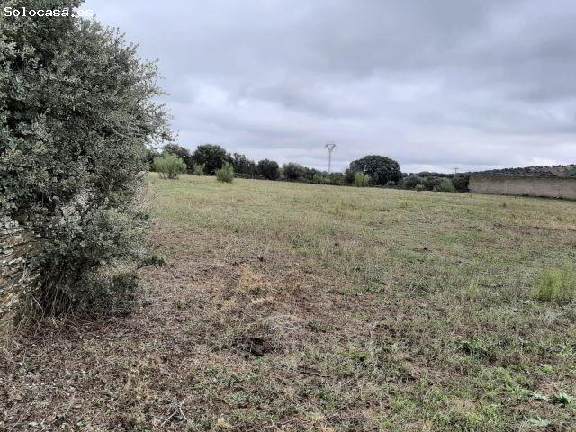 Local Comercial en venta en Plasenzuela, Extremadura