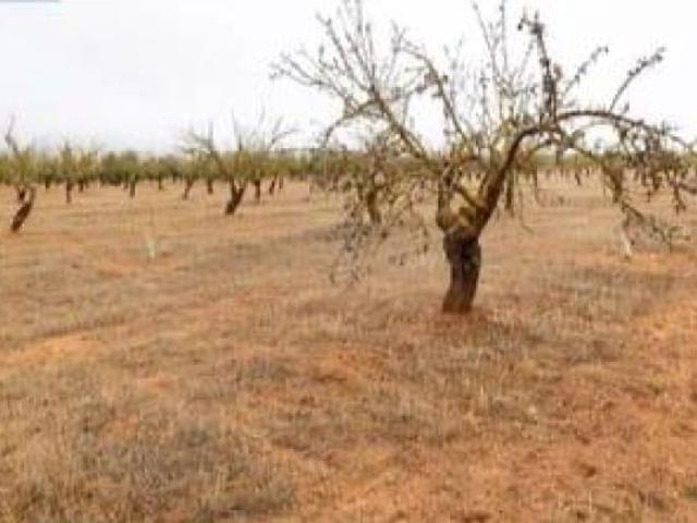 Local Comercial en venta en Comarca de Alhama, Andalucía