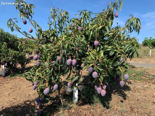 Nave en venta en Anoia, Catalunya
