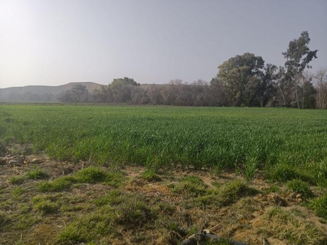 Chalet en venta en Encinarejo de Córdoba, Córdoba