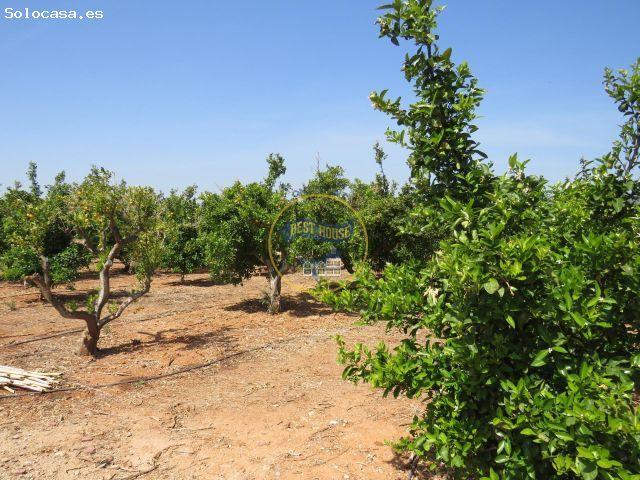 Local Comercial en venta en la Costera, Valencia
